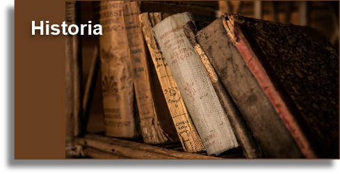 PTD - Historia